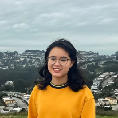 Qingyi Wang